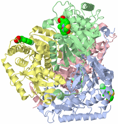 Image Biological Unit 1