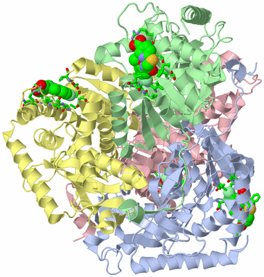 Image Biol. Unit 1 - sites