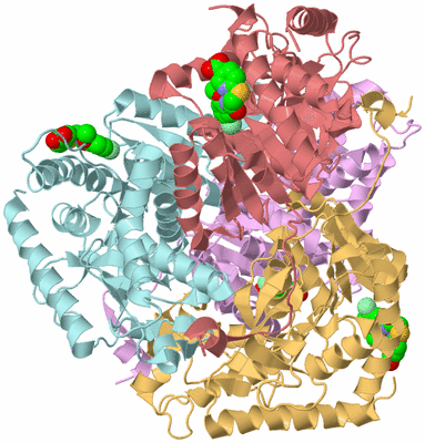 Image Biological Unit 2