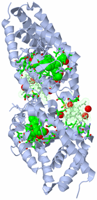 Image Biol. Unit 1 - sites