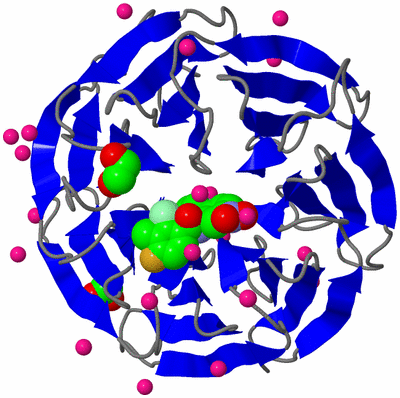 Image Asym./Biol. Unit