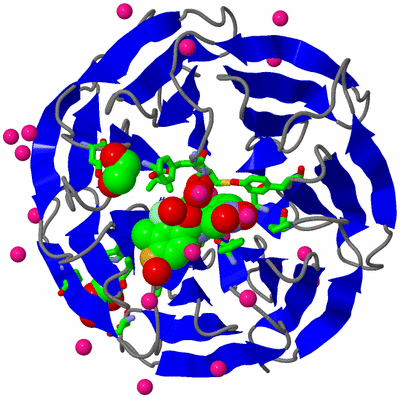 Image Asym./Biol. Unit - sites