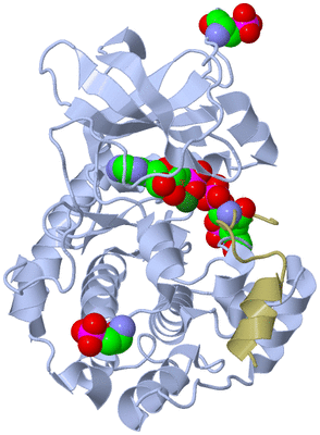 Image Asym./Biol. Unit