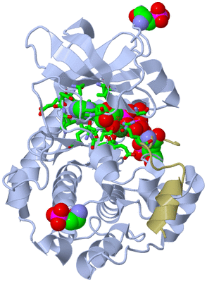 Image Asym./Biol. Unit - sites