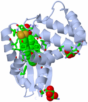 Image Biol. Unit 1 - sites