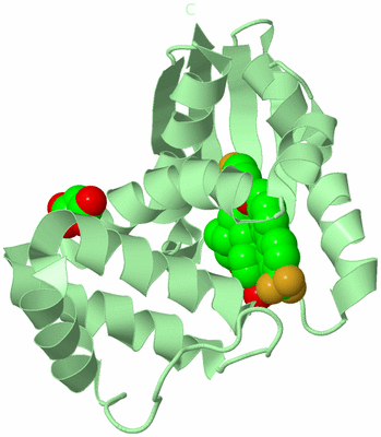 Image Biological Unit 2