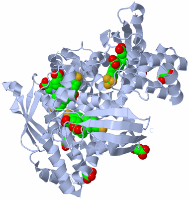 Image Biological Unit 3