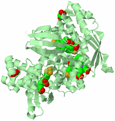 Image Biological Unit 4