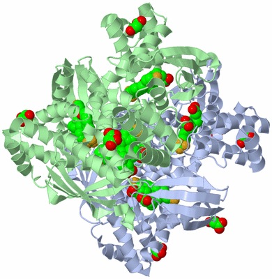 Image Biological Unit 5