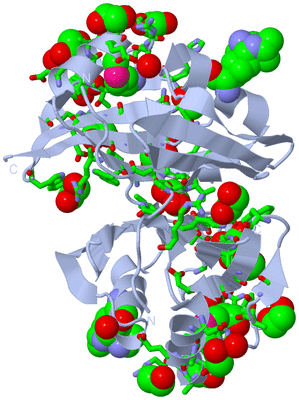 Image Biol. Unit 1 - sites