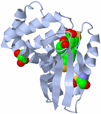 Image Biological Unit 1