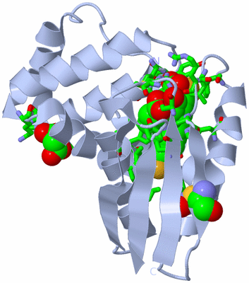 Image Biol. Unit 1 - sites