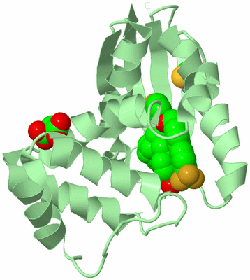 Image Biological Unit 2