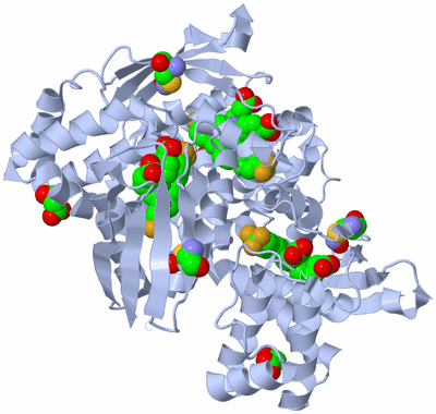 Image Biological Unit 3