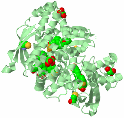 Image Biological Unit 4