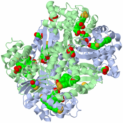 Image Biological Unit 5