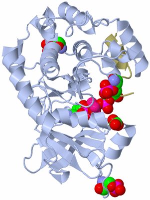 Image Asym./Biol. Unit