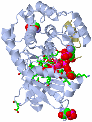 Image Asym./Biol. Unit - sites