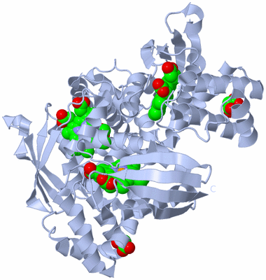 Image Biological Unit 2