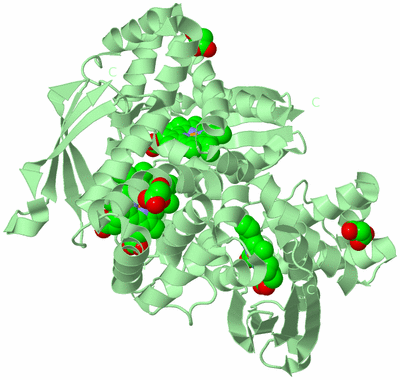 Image Biological Unit 3