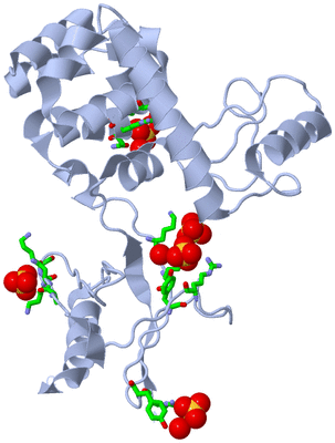 Image Biol. Unit 1 - sites