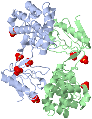 Image Biological Unit 3