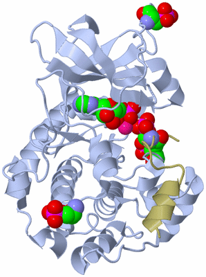 Image Asym./Biol. Unit