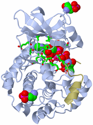 Image Asym./Biol. Unit - sites