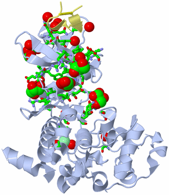 Image Biol. Unit 1 - sites