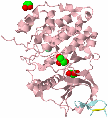 Image Biological Unit 3