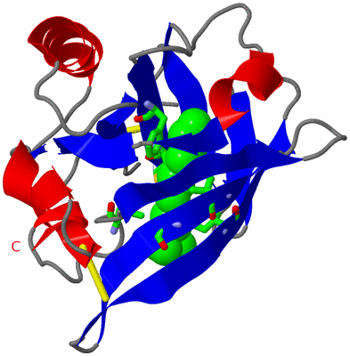 Image Asym. Unit - sites