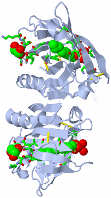 Image Biol. Unit 1 - sites