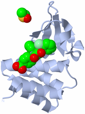 Image Biological Unit 1