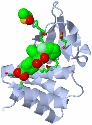 Image Biol. Unit 1 - sites