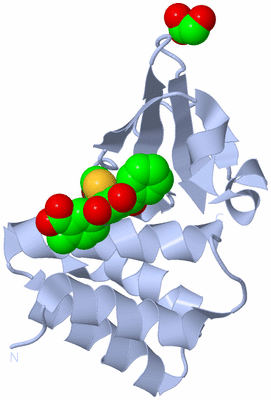 Image Biological Unit 1