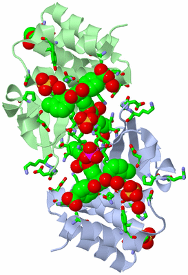 Image Asym./Biol. Unit - sites