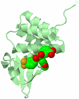 Image Biological Unit 2