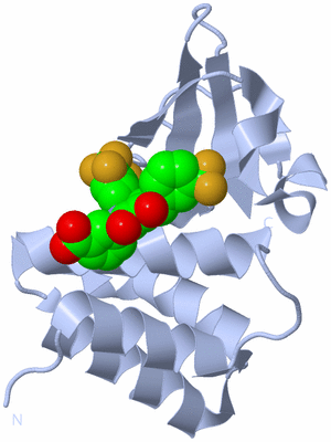 Image Biological Unit 1