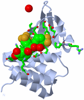 Image Biol. Unit 1 - sites