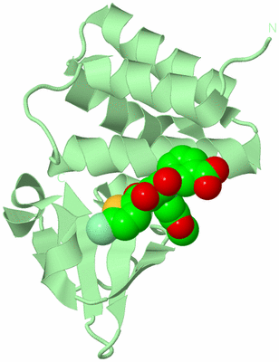 Image Biological Unit 2