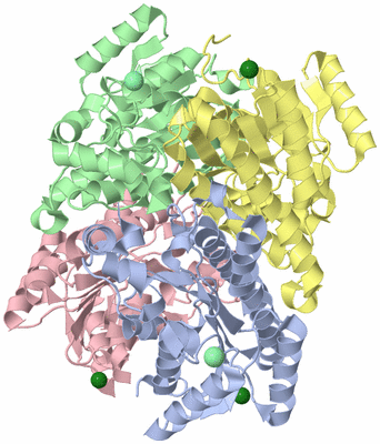 Image Asym./Biol. Unit