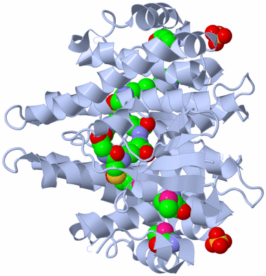 Image Biological Unit 1