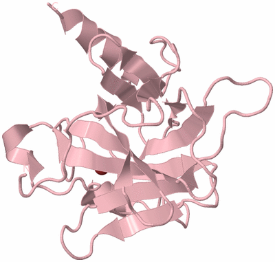 Image Biological Unit 3