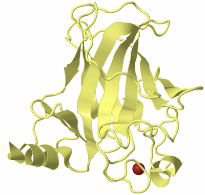 Image Biological Unit 4