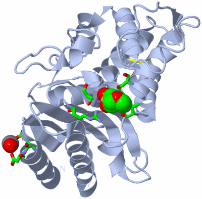 Image Biol. Unit 1 - sites