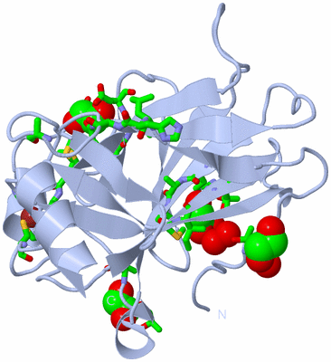 Image Biol. Unit 1 - sites