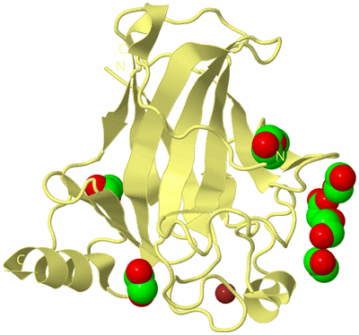 Image Biological Unit 4