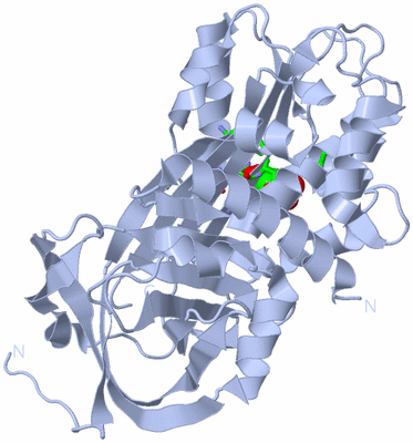 Image Biol. Unit 1 - sites