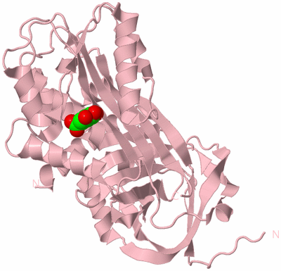 Image Biological Unit 3