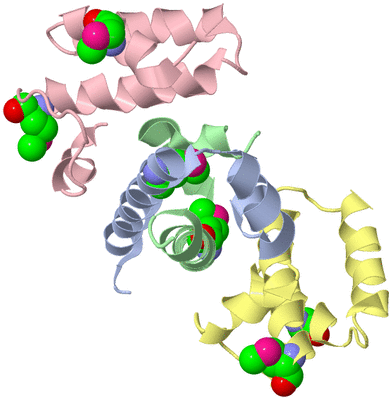 Image Asym./Biol. Unit